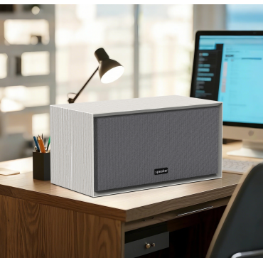 Computer Multimedia Speaker E-1113