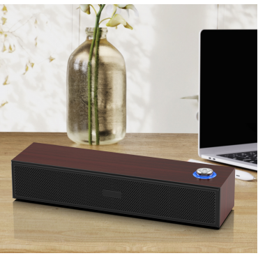 Computer Multimedia Speaker E-1001