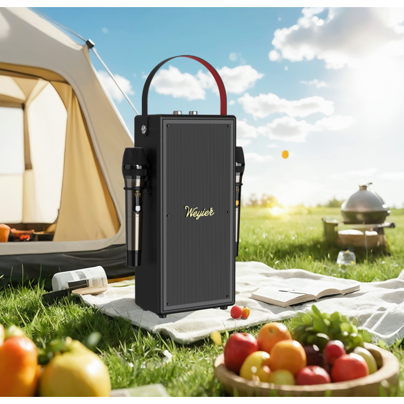 Outdoor Portable Speaker E-4115