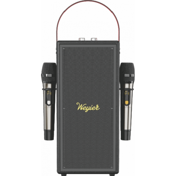 Outdoor Portable Speaker E-4115