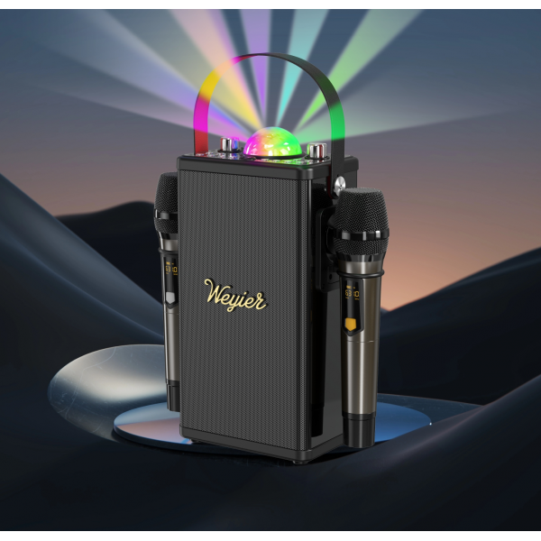 Outdoor Portable Speaker E-4114