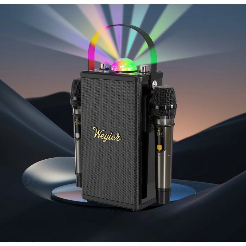 Outdoor Portable Speaker E-4114