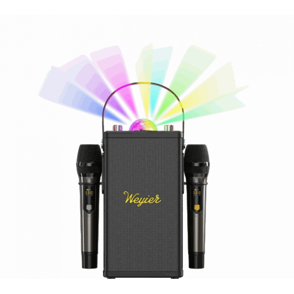 Outdoor Portable Speaker E-4114