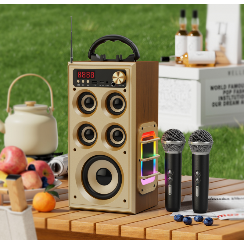 Outdoor Portable Speaker E-4305