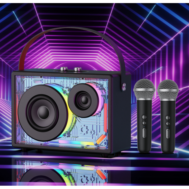 Outdoor Portable Speaker E-4223H