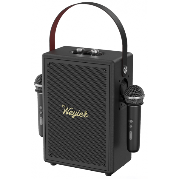 Outdoor Portable Speaker E-4130