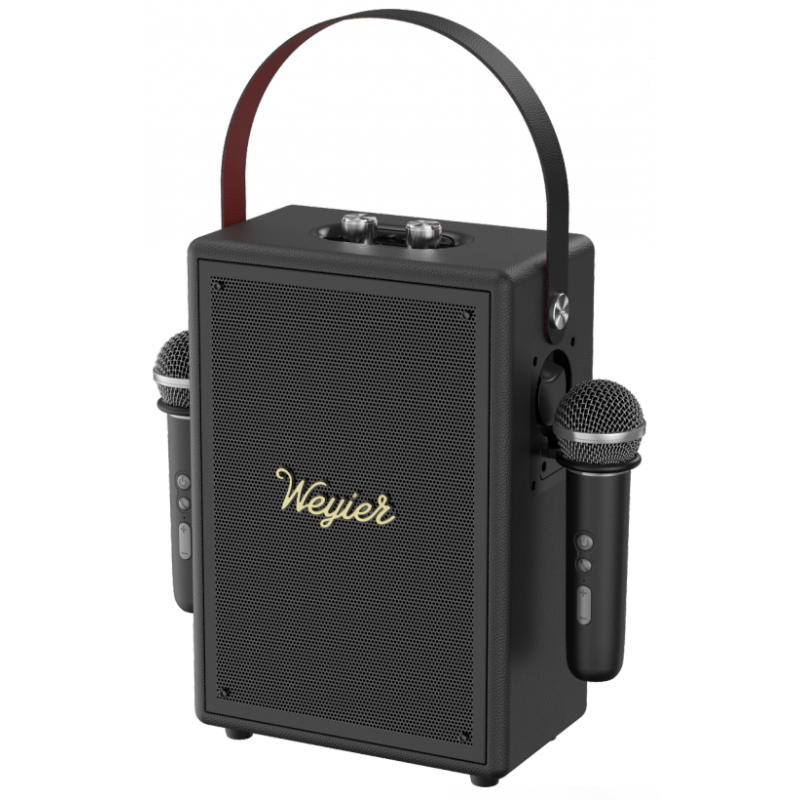 Outdoor Portable Speaker E-4130