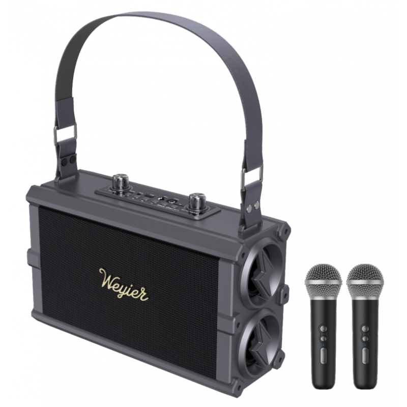 Outdoor Portable Speaker W-4118