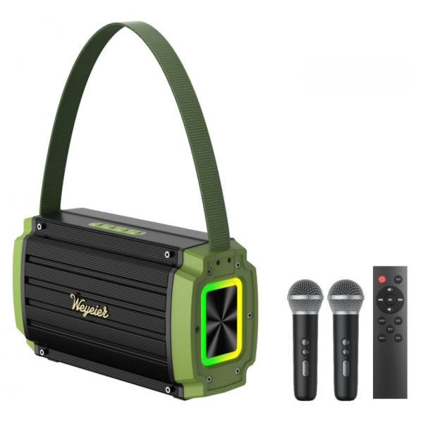 Outdoor Portable Speaker W-4120