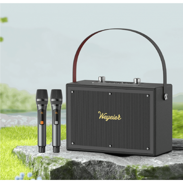 Outdoor Portable Speaker E-4112