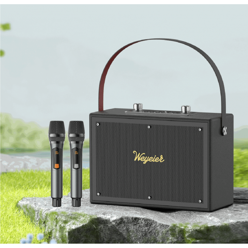 Outdoor Portable Speaker E-4112