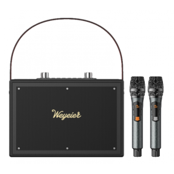 Outdoor Portable Speaker E-4112