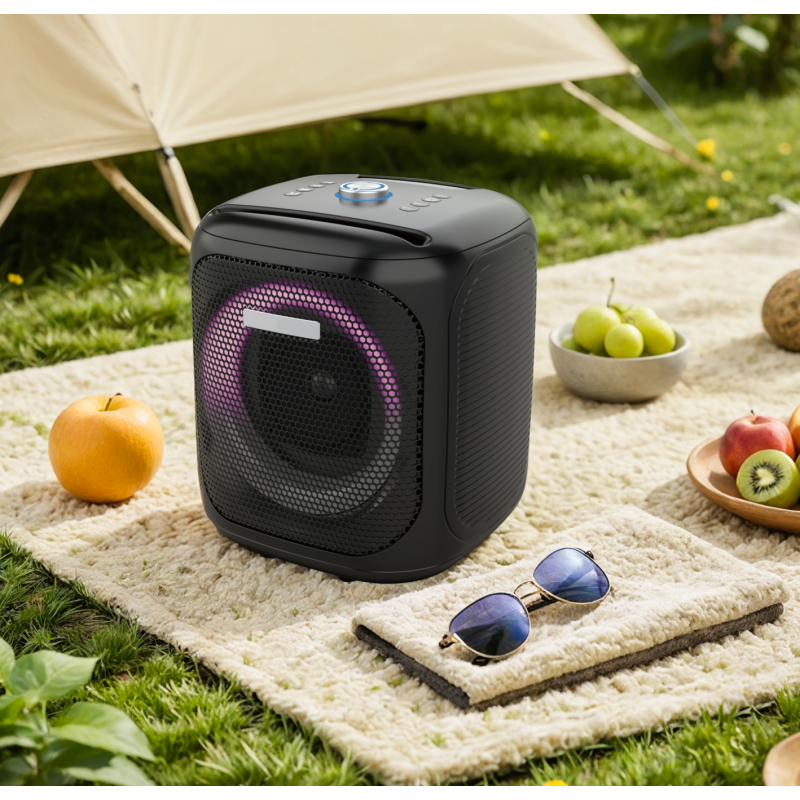 Outdoor Portable Speaker E-4301