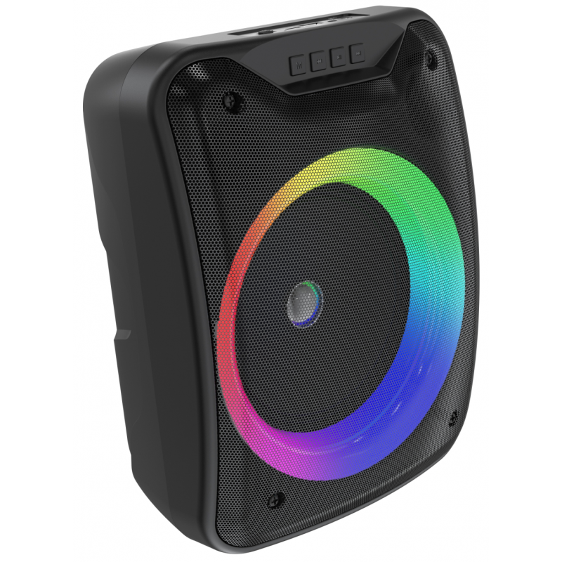 Outdoor Portable Speaker E-4035