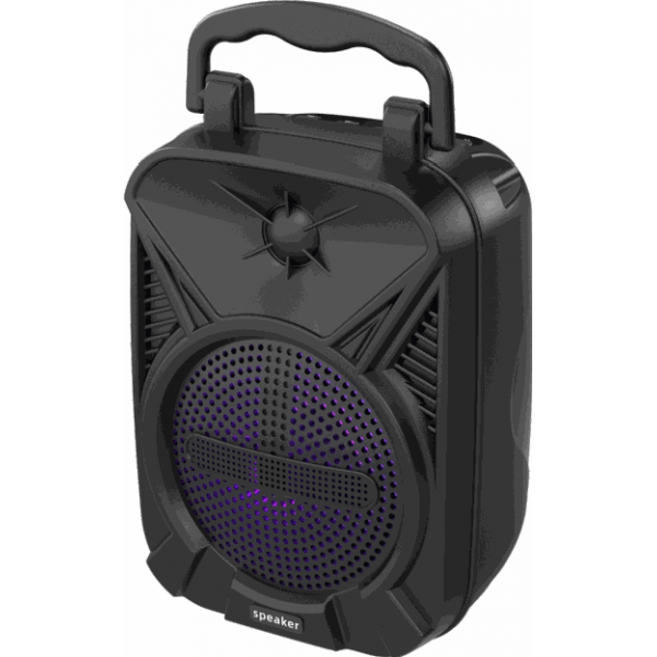 Outdoor Portable Speaker E-4040