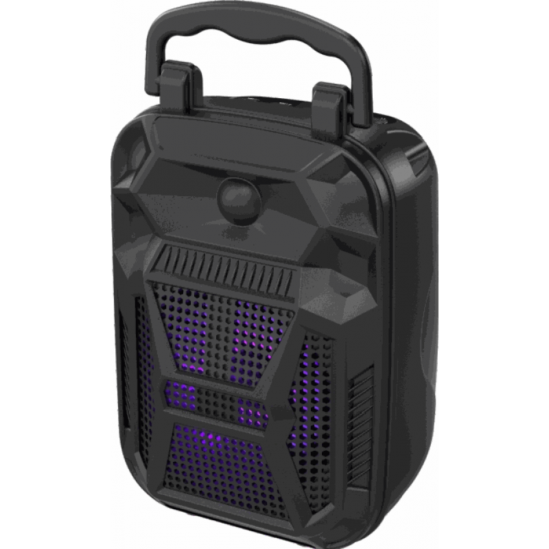 Outdoor Portable Speaker E-4042