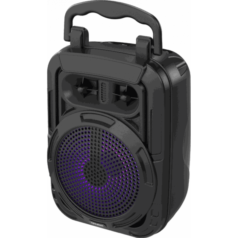 Outdoor Portable Speaker E-4041